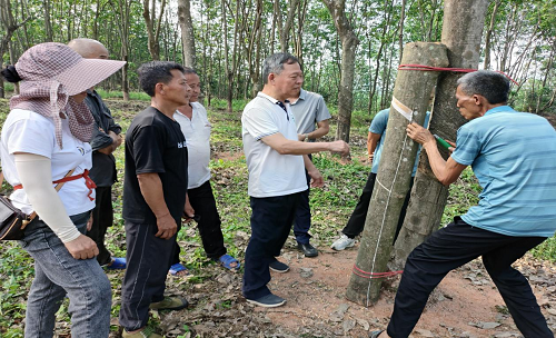 3d4cb4830c2598c0fe80b077e5082670.png 图片6.png