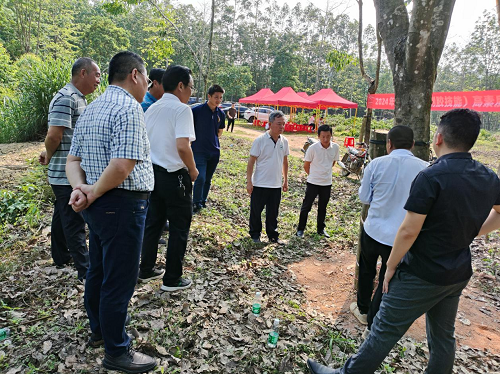 545b7ccd38b72a4756e36b5a72cb3f10.png 图片3.png