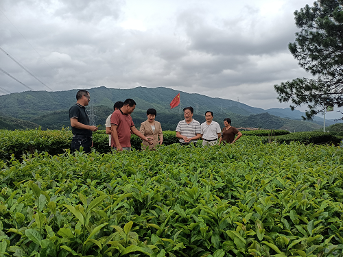 db38d5076a786159c1684e65622d3f27.png 普宁市人大1.png