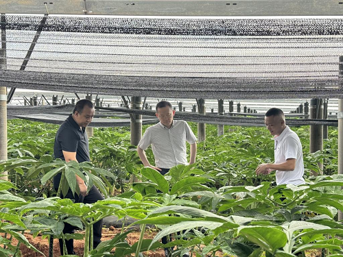 0cebdcf9809c7c4906a6d1cffad1f1c3.png 图片5.png