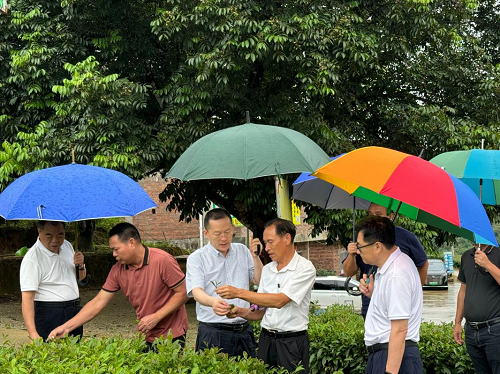 bce9991a5d4c188faf773016edfd050a.png 图片2.png