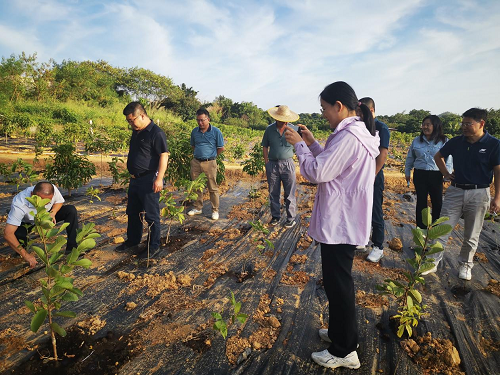 1df4d28baa3c5be5c4ee5c6a4e4b905c.png 揭阳农垦拆旧复垦项目1.png