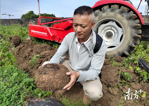 43dd4e89caa11c86af9664b6090232b9.png 南方+.png