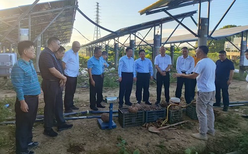广东省茂名农垦集团有限公司领导到揭阳农垦调研交流