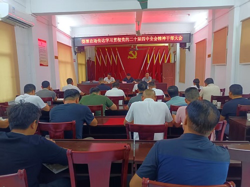 垦区单位深入学习贯彻党的二十届四中全会精神