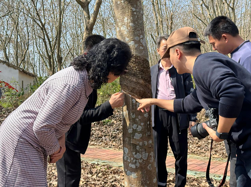 e3fd6bd56f708d923675d3b9348d6225.png 市政协副主席吴少珍一行参观粤东农垦历史陈列馆2.png