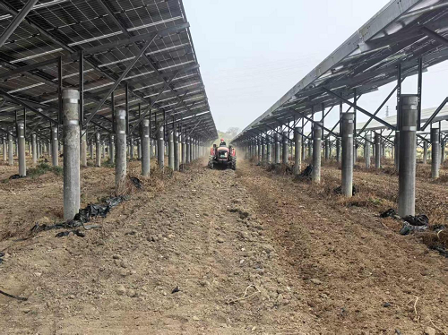 feec40023e746ba16fbc9d80735882e4.png 图为葵潭农场全面开展犁地备耕景象.png