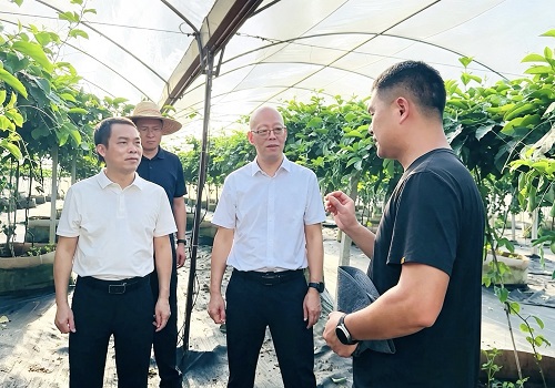 范利辉赴湛江农垦集团、广垦糖业集团学习交流